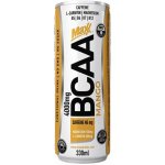 Maxx Drinks Maxx BCAA drink 330 ml – Zbozi.Blesk.cz