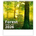 Helma nástěnný Forest/Wald/Les 30 × 30 cm 2026 – Zboží Mobilmania