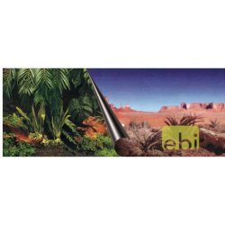 Duvo+ pozadí oboustranné Jungle / Desert 120 x 50 cm