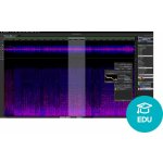 Steinberg SpectraLayers Pro 12 Education (Digitální produkt) – Zboží Živě
