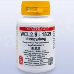 Sinecura WCL2.9 shengyutang 60 tablet – Hledejceny.cz
