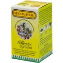 Siddhalepa Ayurvedic Balm 25 g