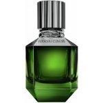 Roberto Cavalli Paradise Found toaletní voda pánská 50 ml – Hledejceny.cz