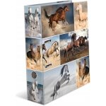 Herma Pořadač pákový 7cm A4 Koně – Zboží Živě