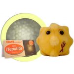 Infekční žloutenka – Sleviste.cz