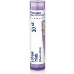 LOBELIA INFLATA POR 30CH GRA 1X4G – Hledejceny.cz