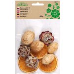Nohel Garden Dekorace sušiny MIX 10 60g – Hledejceny.cz