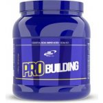 Pro Nutrition PRO BUILDING 500 g – Hledejceny.cz