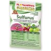 Hnojivo Floraservis Sulfurus 50 g