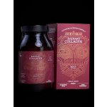 Ancient Brave Radiant Beauty Collagyn 200 g – Hledejceny.cz