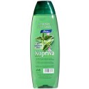 Šampon Chopa šampon Kopřiva 500 ml
