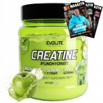 Evolite Creatine Monohydrate 500 g – Zboží Mobilmania