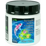 Filter Pond 300g – HobbyKompas.cz