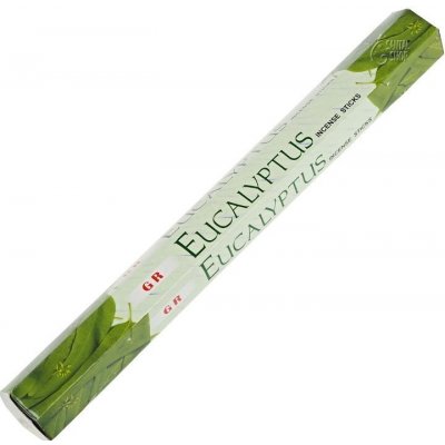 GR Indické vonné tyčinky Eucalyptus 20 ks – Hledejceny.cz