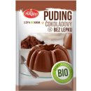 Amylon puding čokoládový Bio 40 g