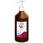 Vitar Veterinae Artivit Sirup 1 l 2 ks – Hledejceny.cz