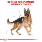 Royal Canin German Shepherd Adult 3 kg – Hledejceny.cz