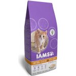 Iams Kitten & Junior All Breeds Chicken 2,6 kg – Hledejceny.cz