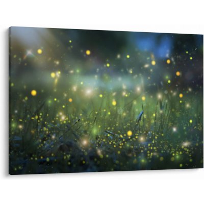 Obraz - Kouzelná noc, jednodílný 100x70 cm – Hledejceny.cz