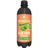 Ledové čaje Long Life Biotea Bio Kombucha Aloe Vera 0,5 l