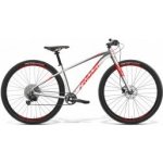 Amulet Youngster 2023 – Zboží Dáma