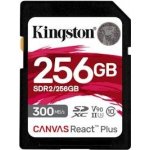 Kingston SDHC UHS-II 256 GB SDR2/256GB – Hledejceny.cz