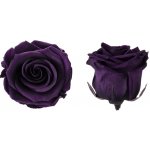 Hlavy růží - princess 16 ks Purple - fialová – Hledejceny.cz