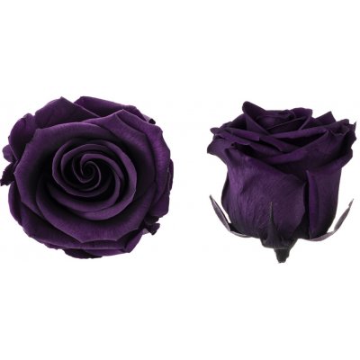 Hlavy růží - princess 16 ks Purple - fialová – Hledejceny.cz