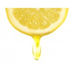 Marp Holistic - Vitamin C 200 g – Hledejceny.cz