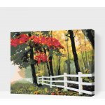 Vymalujsisam MALOVÁNÍ PODLE ČÍSEL PODZIMNÍ RÁNO – Zboží Dáma