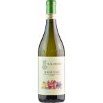 G.D. Vajra Moscato d'Asti 2024 Bílé 5,5% 0,75 l (holá láhev) – Hledejceny.cz