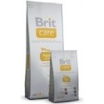 Brit Care Puppy All Breed Lamb & rice 1 kg – Hledejceny.cz