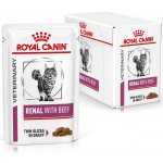 Royal Canin VD Cat Renal Beef 12 x 85 g – Hledejceny.cz