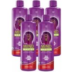 LR Mind Master Formula Red 5 ks 5 x 500 ml – Hledejceny.cz