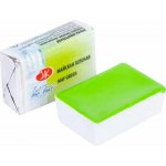 Nevskaya Palitra Akvarelová barva White Nights 2,5 ml May Green – Hledejceny.cz