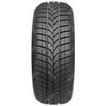 Taurus 601 205/60 R16 96H – Hledejceny.cz