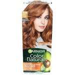 Garnier Color Naturals Créme barva na vlasy 7.34 přirozeně měděná 112 ml – Zbozi.Blesk.cz