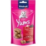 Vitakraft Cat Yums Superfood kachna bezinka 40 g – Sleviste.cz