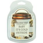 Chestnut Hill Candle Vonný Vosk Baby it's Cold Outside 105 g – Hledejceny.cz