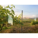 Strend Plašič ptáků Sova reflexní s rolničkou 41,5 x 20 cm 2 ks SL8091788X – Hledejceny.cz