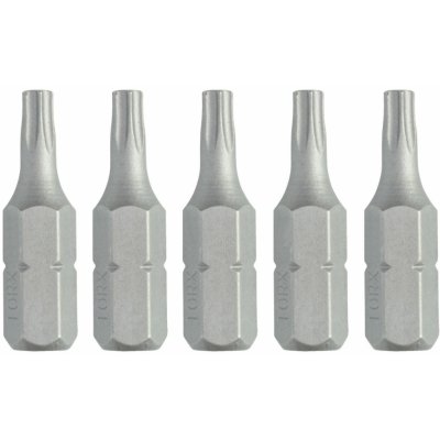 DeWALT T25 5ks DT7256 – Zboží Dáma