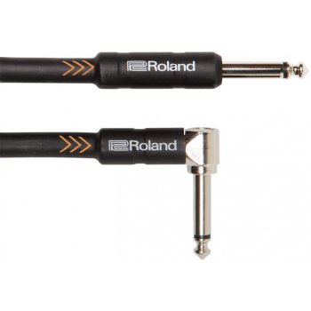 Roland RIC-B10A