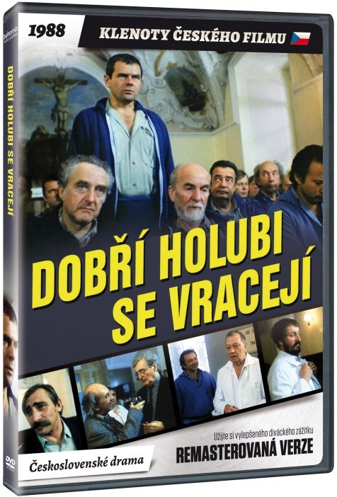 Dobří holubi se vracejí DVD