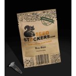 Seedstockers Big Bud semena neobsahují THC 3 ks – Zboží Mobilmania