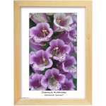 TRADAG Natura 21 x 29,7 - A4 přírodní – Zboží Živě