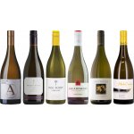 Novozélandské Chardonnay Premium Degustační bedna 6 x 0.75 l (holá láhev) – Hledejceny.cz
