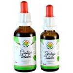 Salvia Paradise Ginkgo biloba tinktura bez alkoholu 50 ml – Zbozi.Blesk.cz