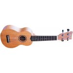 Ashton UKE 300 SMH – Zboží Dáma