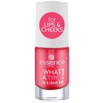 essence WHAT A TINT! tekutá tvářenka a lesk na rty 02 Coral Sunset 4,9 ml – Zboží Dáma