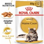 Royal Canin Maine Coon Adult granule pro kočky 48 x 85 g – Hledejceny.cz